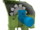 Нории ковшовые УН